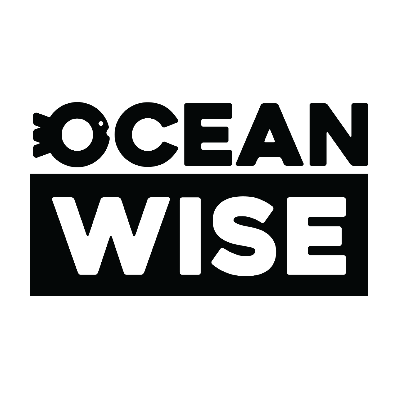 oceanwise-logo-18